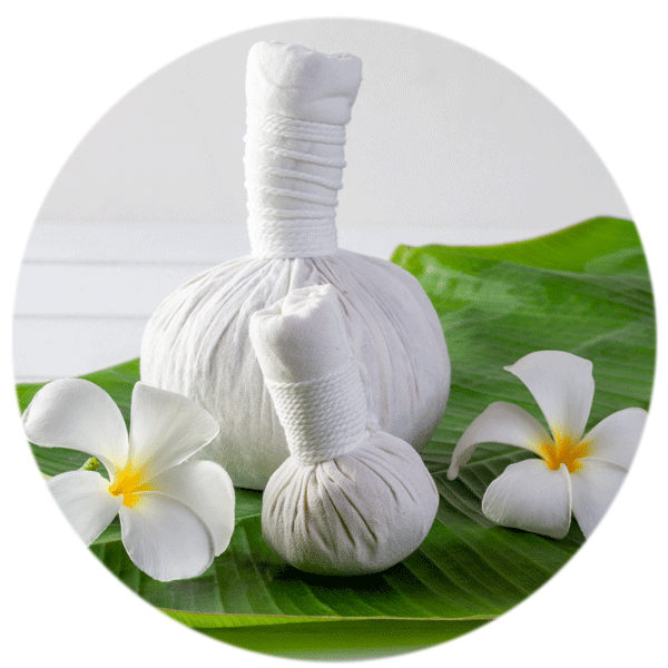 Thai Massage Wellness